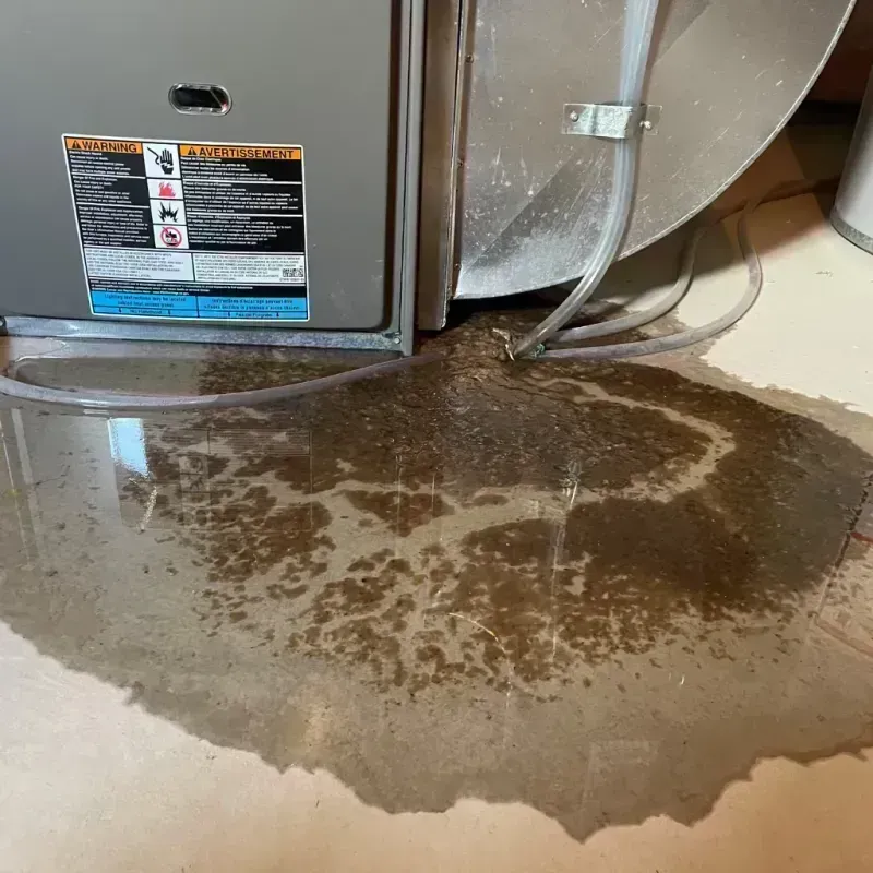 Appliance Leak Cleanup in Winona, MO